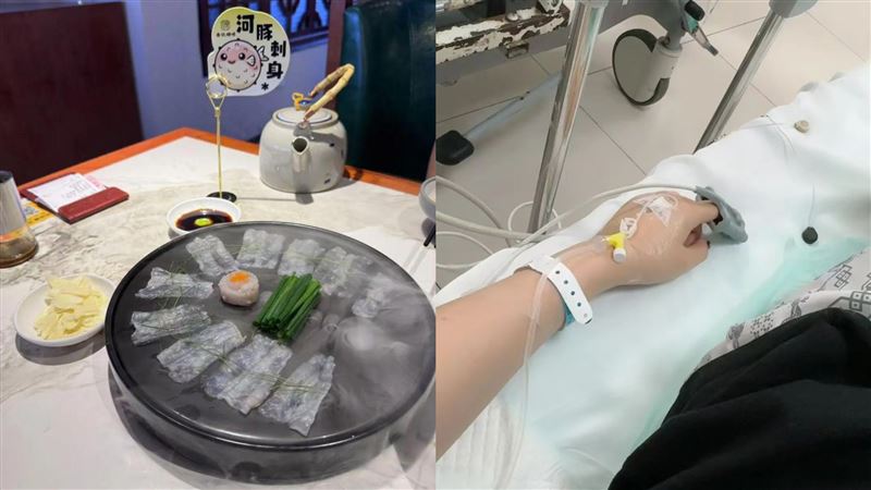 女吃河豚回家吐血　網揪疑點：不值得可憐
