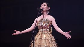 張清芳在台北小巨蛋開唱。（圖／上引娛樂提供）