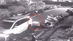 社區,小黃,新竹,輾壓,動保所（圖／翻攝自《竹北人有事嗎》）