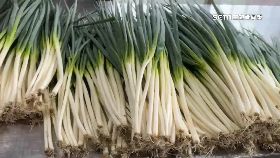 V三星蔥千元1200