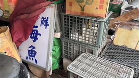 神鬼女魚販,誆騙投資,漁會高層,受騙上當,6000萬元