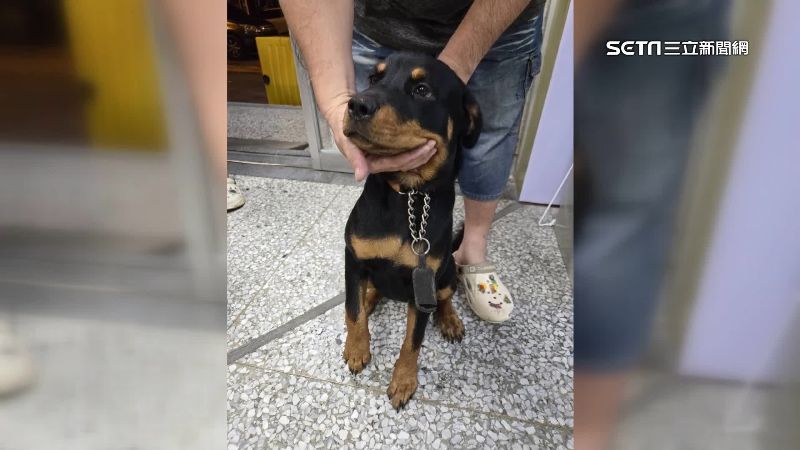 名犬被偷！飼主急尋「羅威納」靠電眼逮人