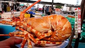 文 (深一度)越龍蝦富翁1900