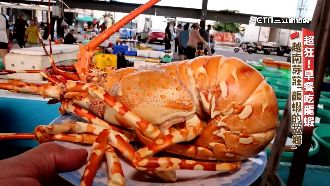 影／比雞蛋更好買　遊越南早餐「吃龍蝦」