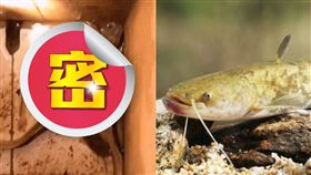 ▲（圖／翻攝自微博）