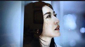 曾莞婷擁有亮眼外型與精湛演技。（圖／翻攝臉書）