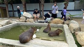 廢物媽媽育兒農場,農地,親子,新竹（圖／新竹市議員陳建名提供）