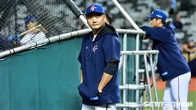 ▲世界12強棒球錦標賽，台灣隊總教練曾豪駒觀看球員賽前練習。（圖／記者劉彥池攝影）