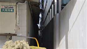 義消,虎頭蜂,民宅,過敏（圖／翻攝畫面）