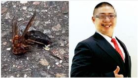 虎頭蜂,義消,房仲,同事,桃園