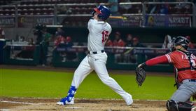 美國隊的沃德（Ryan Ward）在比賽前段就轟垮對手。（圖／翻攝自WBSC官網）