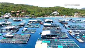 新聞深一度／直擊芽莊「龍蝦村」！漁民脫貧致富「住豪宅」