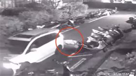 社區,小黃,新竹,輾壓,動保所（圖／翻攝自《竹北人有事嗎》）