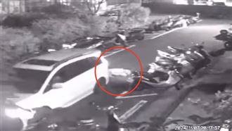 狗遭車來回輾壓狂哀號！駕駛被肉搜道歉了