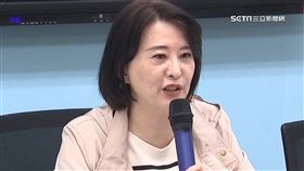 王鴻薇揭弊頻鬧烏龍!綠委:近4年12次出包