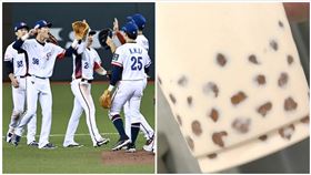 珍奶,凌濤,棒球,祭品文（合成圖／記者劉彥池攝影、資料畫面）