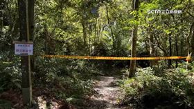 秋季虎頭蜂活躍期! 專家:捕蜂裝留意