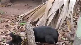 （圖／翻攝自騰訊）