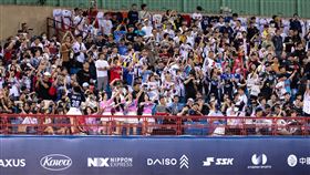 14日韓國古巴之戰南珉貞、李晧禎、安芝儇及趙娟週現身替自家球隊應援。（圖／WBSC提供）