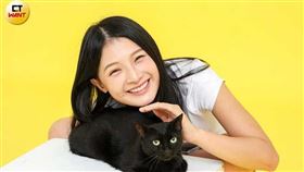 李雨禧會定期帶愛貓健康檢查，讓牠們頭好壯壯。（圖／林士傑攝）