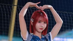 安娜表示曾經養過紅貴賓。（圖／翻攝臉書）