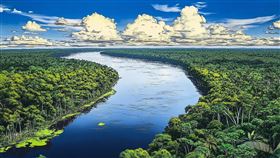 亞馬遜保護政策大步向前：巴西政府砍伐減少30%（圖／永續新聞網）
