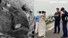 動保處追捕遊蕩犬過程遭2名愛媽騎機車拍打箱型車要求停下，不讓狗被帶走。（圖／翻攝畫面）