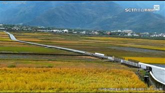 獨／一秒穿越東西部　台灣打卡美景相似