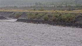 知本溪溪水暴漲，場面相當危險。（圖／翻攝畫面）