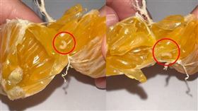 橘子長蟲
（圖／翻攝自臉書／爆料公社）