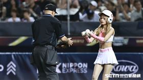 ▲世界12強棒球錦標賽，由紅運女孩擔任的球僮成為焦點。（圖／記者劉彥池攝影）