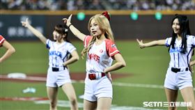 ▲世界12強棒球錦標賽，由紅運女孩擔任的球僮成為焦點。（圖／記者劉彥池攝影）