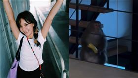 陳意涵 猴子（合成圖／翻攝自陳意涵IG）