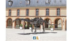 根據媒體得自兩間拍賣行的消息，長達22公尺的巨型草食恐龍骨架「火神」（Vulcan）16日以600萬歐元（約新台幣2億600萬元）拍出。（圖取自波卡吉網頁collindubocage.com）