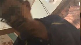 彰化　殺妻（圖／翻攝畫面）