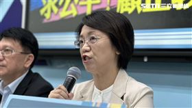 翁曉玲批台灣基進黨無法無天、行為惡質。（圖／記者詹宜庭攝影）