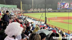 17日天母球場雖然不是台灣隊的賽事，不過日本古巴之戰仍吸引相當多台灣球迷進場，還熱情大呼「三振」為日本投手加油。（圖／記者蔡厚瑄攝影）