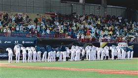 天母棒球場湧進許多台灣球迷幫日本隊加油。（圖／WBSC提供）
