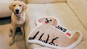 JINS、毛孩地毯、義賣