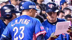 （圖／翻攝自臉書世界十二強儲備庫）