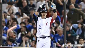 ▲世界12強棒球錦標賽，台灣隊捕手戴培峰敲出全隊首安。（圖／記者劉彥池攝影）