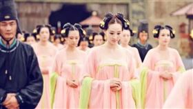 ▲妃子（圖／翻攝自百度百科）