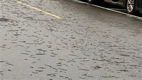 蚯蚓大軍上街趴趴走。（圖／臉書　高雄五甲大小事）