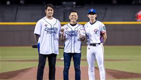 棒球優惠鳳梨酥　（圖／翻攝自陳耀訓臉書官網）　
（圖／中華民國棒球協會提供）