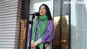 民進黨立法院黨團幹事長吳思瑤接受媒體聯訪。（圖／記者盧素梅攝影)