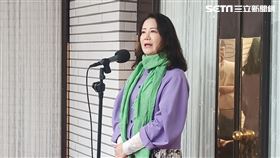 民進黨立法院黨團幹事長吳思瑤接受媒體聯訪。（圖／記者盧素梅攝影)
