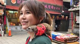 ▲飼主帶狐獴到嘉義城隍廟點燈求庇佑平安祈福。（圖／嘉義城隍廟）