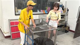 阿翔（左）跟壯壯心疼籠子裡的流浪狗。（圖／民視提供）