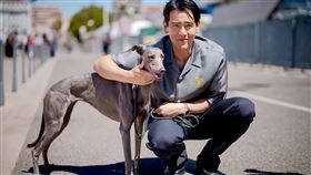 彭于晏《狗陣》。（圖／海鵬提供）