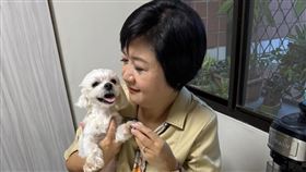 崔佩儀與狗女兒「妹妹」（圖／翻攝自臉書）